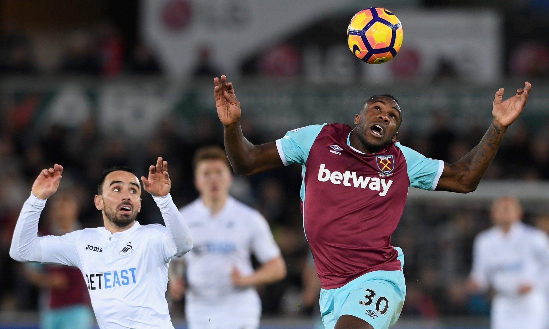 这种互补的 这种互补的