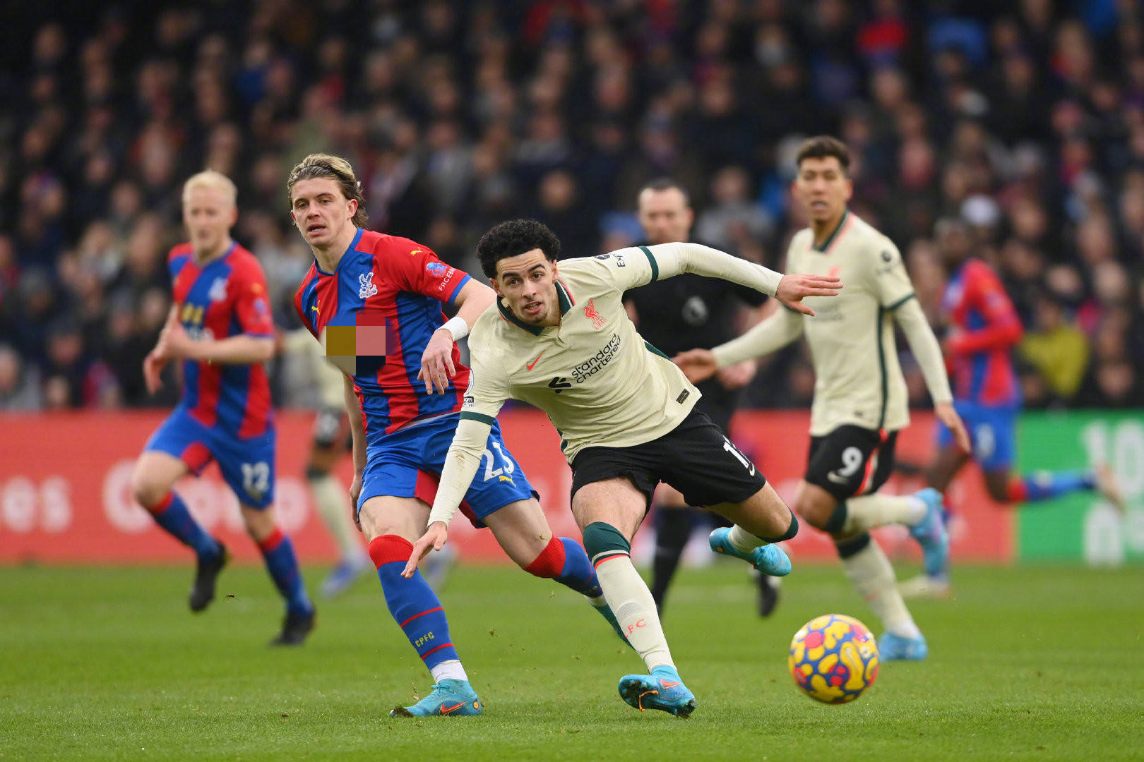 正式加盟球 正式加盟球